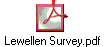 Lewellen Survey.pdf