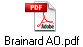 Brainard AO.pdf