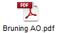 Bruning AO.pdf