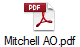 Mitchell AO.pdf