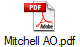 Mitchell AO.pdf
